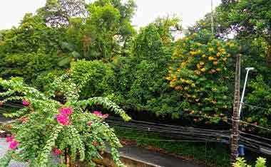 Home hostel pousada floresta em joinvile imagem 2